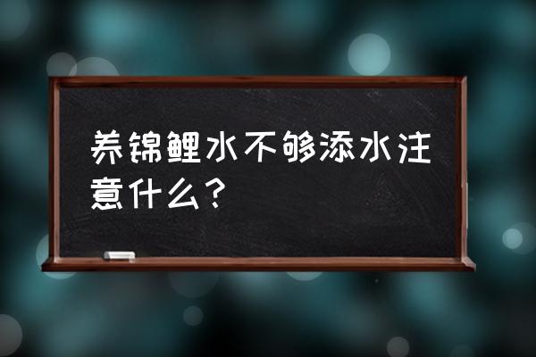 锦鲤吸水等各种技巧 养锦鲤水不够添水注意什么？