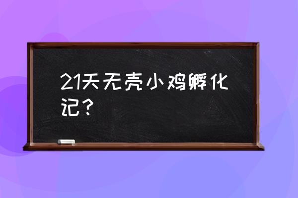 无壳孵化小鸡怎么弄 21天无壳小鸡孵化记？