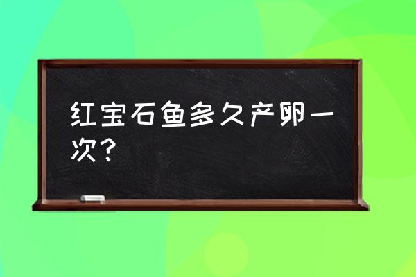 红宝石鱼繁殖 红宝石鱼多久产卵一次？