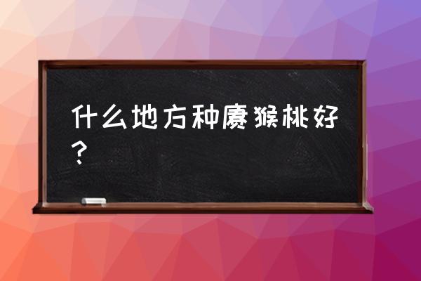 猕猴桃主要产地 什么地方种猕猴桃好？