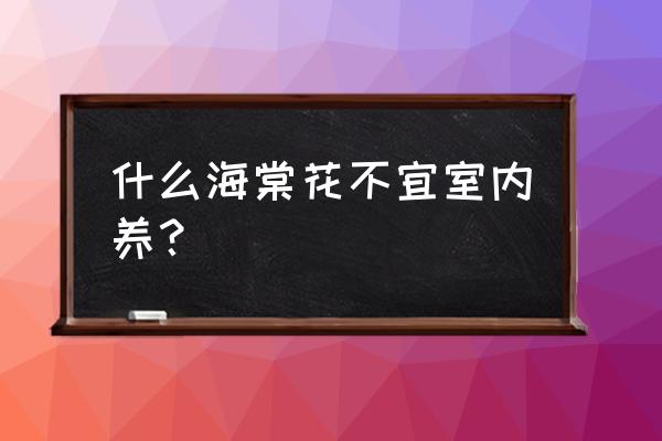 哪种海棠花室内有毒嘛 什么海棠花不宜室内养？