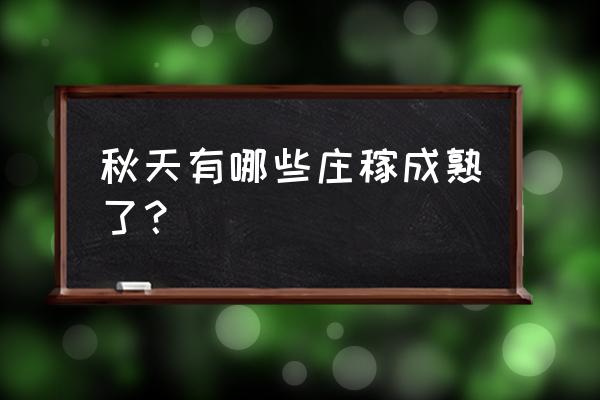 秋天成熟的农作有哪些 秋天有哪些庄稼成熟了？