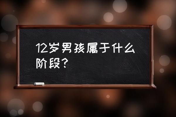 12岁男孩 12岁男孩属于什么阶段？