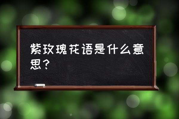 紫玫瑰花语寓意 紫玫瑰花语是什么意思？