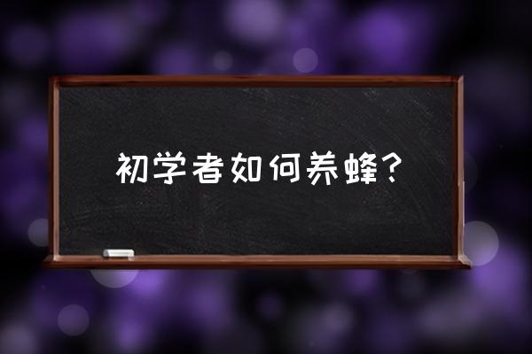 初学养蜂者专业基础知识 初学者如何养蜂？