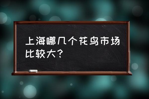 上海市区最大花鸟市场 上海哪几个花鸟市场比较大？