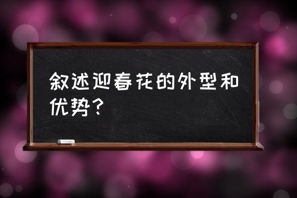 迎春花的样子和特点 叙述迎春花的外型和优势？