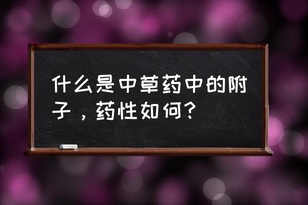 附子的功效与作用禁忌 什么是中草药中的附子，药性如何？