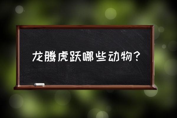 鹤发鸡皮是什么生肖 龙腾虎跃哪些动物？