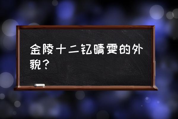 金陵十二钗副册之首 金陵十二钗晴雯的外貌？