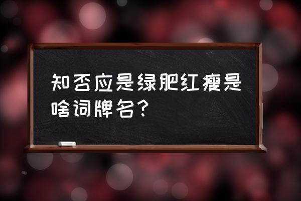 知否应是绿肥红瘦是什么词 知否应是绿肥红瘦是啥词牌名？