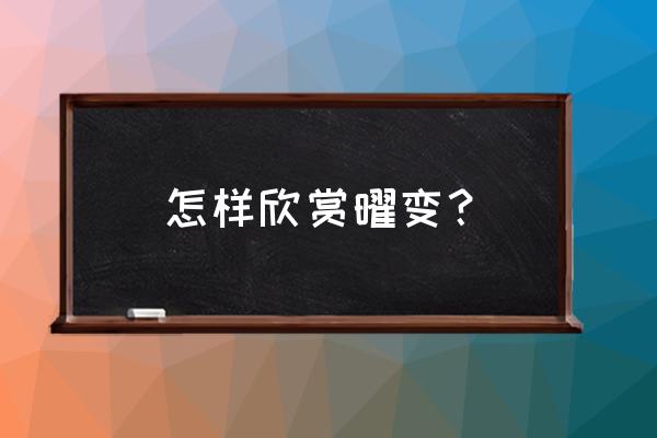 曜变天目茶碗价值多少 怎样欣赏曜变？