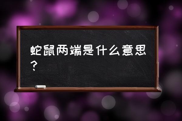 蛇鼠两端是什么数字 蛇鼠两端是什么意思？