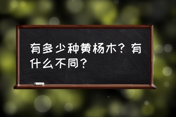 金边黄杨和黄杨的区别 有多少种黄杨木？有什么不同？