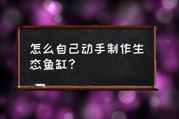 新手如何自制生态鱼缸 怎么自己动手制作生态鱼缸？