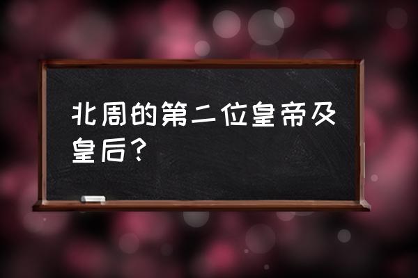 北周周宣帝 北周的第二位皇帝及皇后？