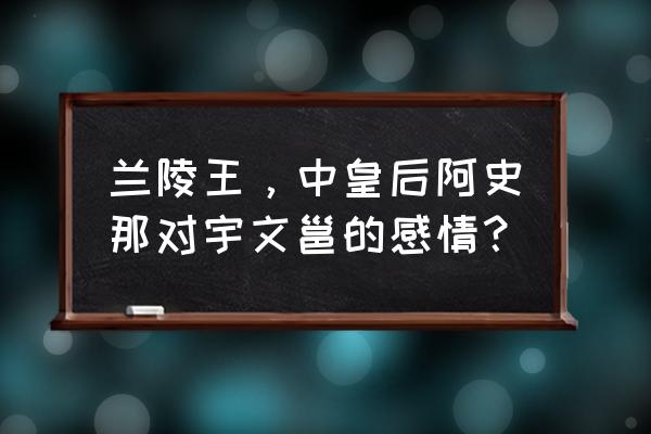 阿史那皇后与宇文邕 兰陵王，中皇后阿史那对宇文邕的感情？