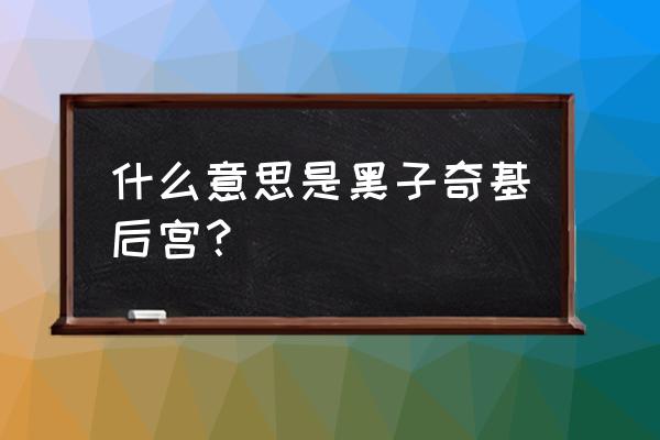 奇迹时代指什么时期 什么意思是黑子奇基后宫？