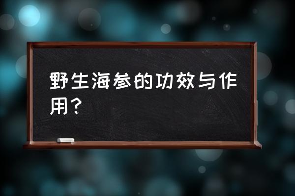 野生海参的功效 野生海参的功效与作用？