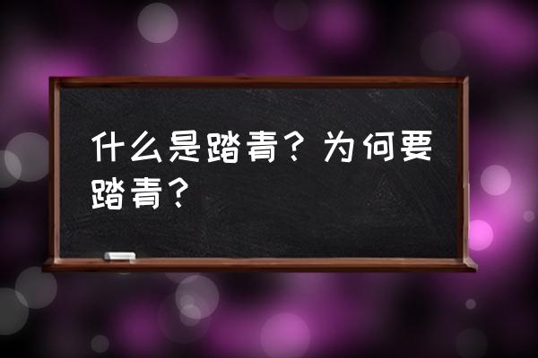 为啥踏青 什么是踏青？为何要踏青？