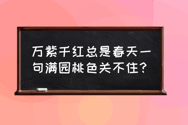 万紫千红总是春前面一句 万紫千红总是春天一句满园桃色关不住？