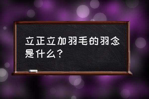 立加羽毛的羽念什么 立正立加羽毛的羽念是什么？