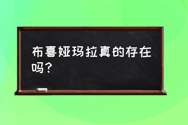 叶赫那拉布喜娅玛拉东哥 布喜娅玛拉真的存在吗？