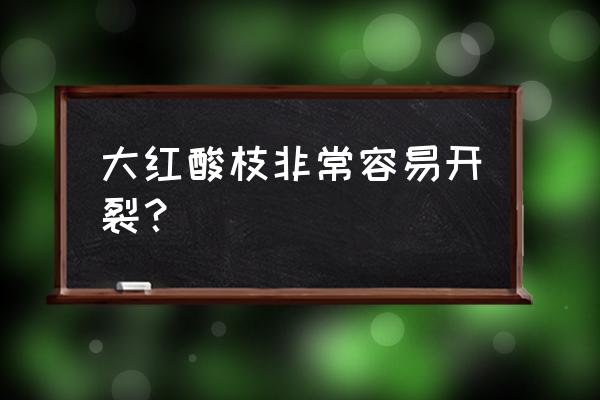 大红酸枝现状 大红酸枝非常容易开裂？