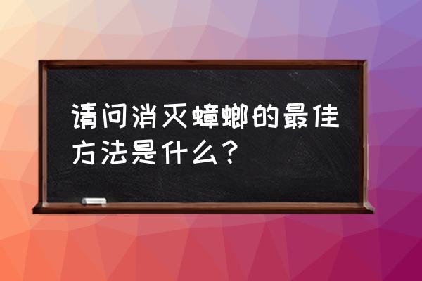 家里的蟑螂怎么弄干净 请问消灭蟑螂的最佳方法是什么？