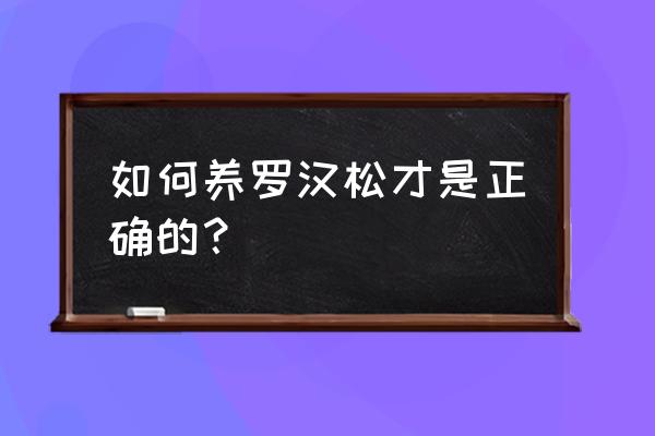 罗汉松的正确养法 如何养罗汉松才是正确的？