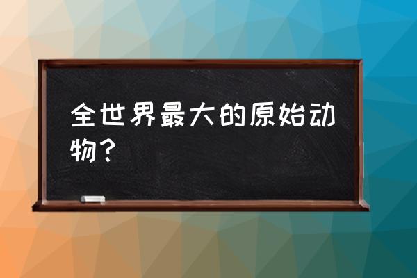 史前最大的动物啊 全世界最大的原始动物？