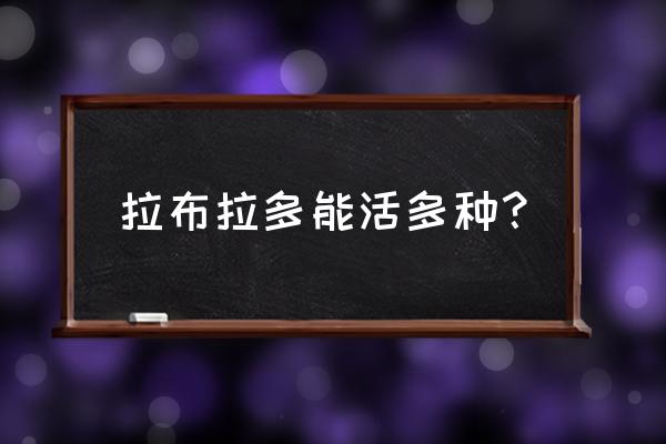 拉布拉多寿命 拉布拉多能活多种？