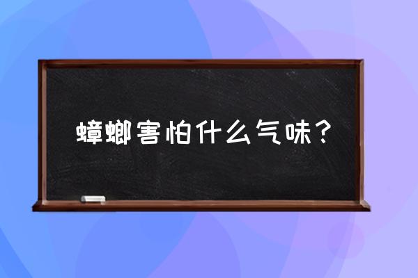 蟑螂怕什么气味 蟑螂害怕什么气味？