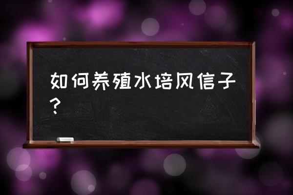 冬季水培风信子的方法 如何养殖水培风信子？