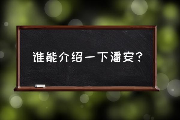 潘安到底是谁 谁能介绍一下潘安？