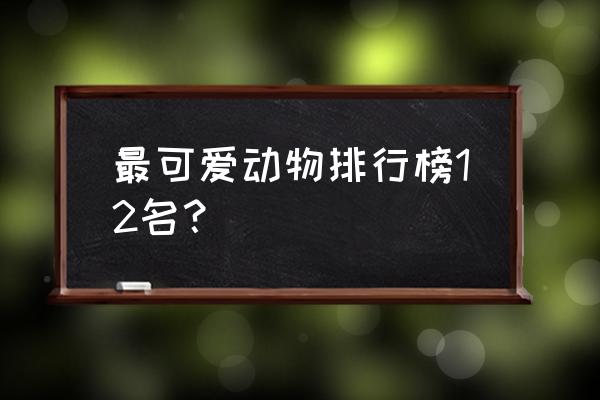 可爱的动物有哪些 最可爱动物排行榜12名？