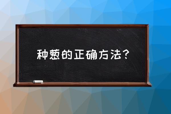 大葱的种植方法技术 种葱的正确方法？