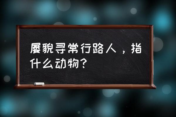 学书初学卫夫人是什么动物 屡貌寻常行路人，指什么动物？