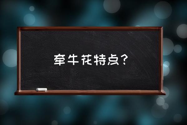 牵牛花的特点和作用是什么 牵牛花特点？