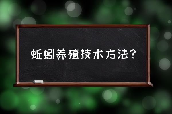 蚯蚓的养殖技术和方法 蚯蚓养殖技术方法？