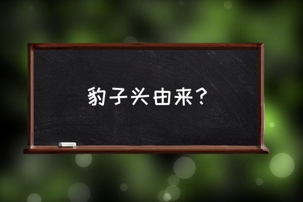 豹子头是什么意思 豹子头由来？