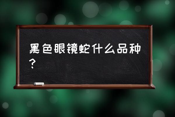 黑色眼镜蛇有几种 黑色眼镜蛇什么品种？