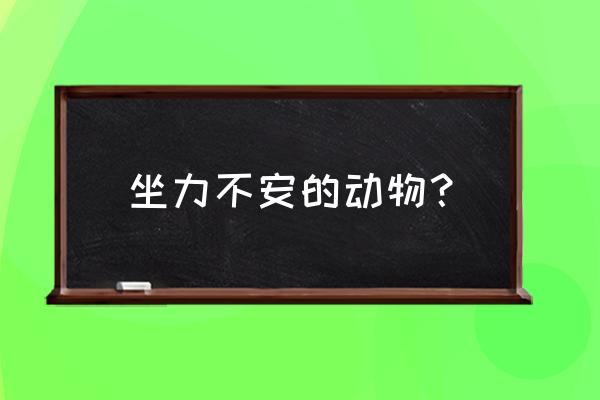 坐立不安是什么生肖 坐力不安的动物？