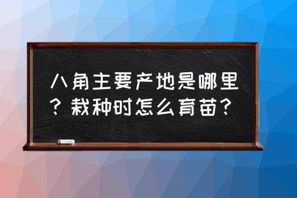 八角产地在什么地方 八角主要产地是哪里？栽种时怎么育苗？