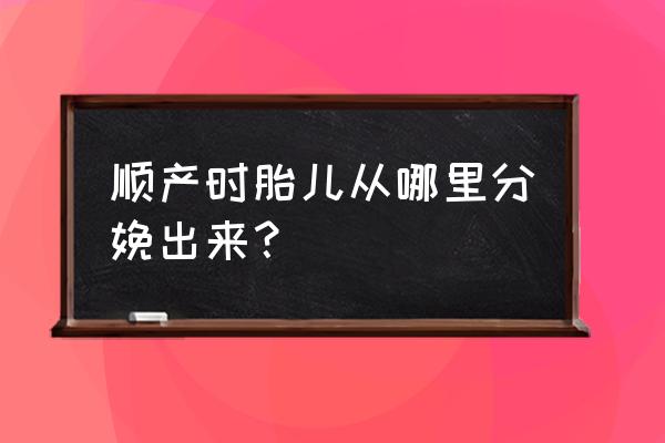 顺产从哪个部位生出来 顺产时胎儿从哪里分娩出来？