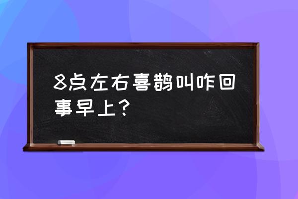 喜鹊叫吉凶预兆 8点左右喜鹊叫咋回事早上？