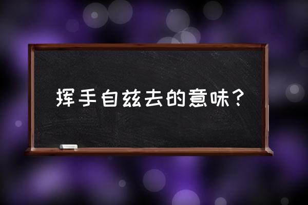 挥手自兹去深刻含义 挥手自兹去的意味？