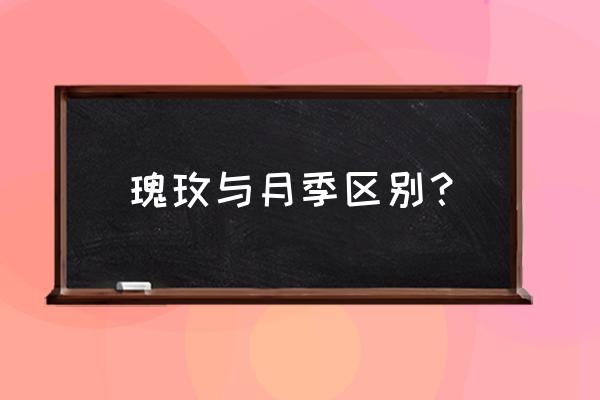 月季和玫瑰有什么不同之处 瑰玫与月季区别？