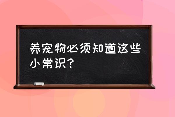 宠物小知识问答 养宠物必须知道这些小常识？