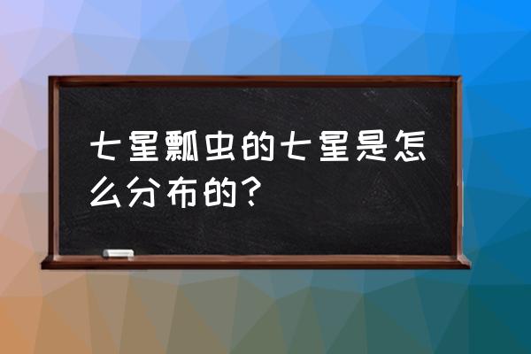 七星瓢虫的七星是指什么 七星瓢虫的七星是怎么分布的？